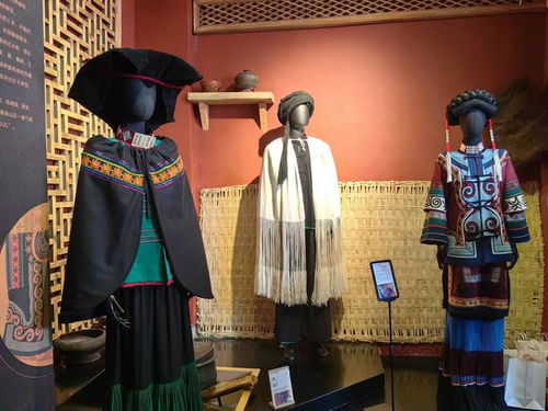 麗江古城新增民族文化新地標(biāo),民族服飾博物館開(kāi)館