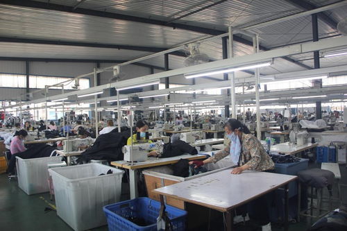 潛江積玉口鎮(zhèn)優(yōu)化營商環(huán)境 助推就業(yè)富民——以服飾產(chǎn)業(yè)升級為例